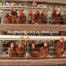 high quality 120 chickens used poultry cage